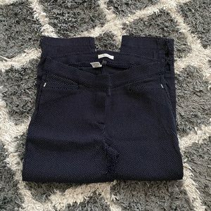 89TH & Madison woman pants